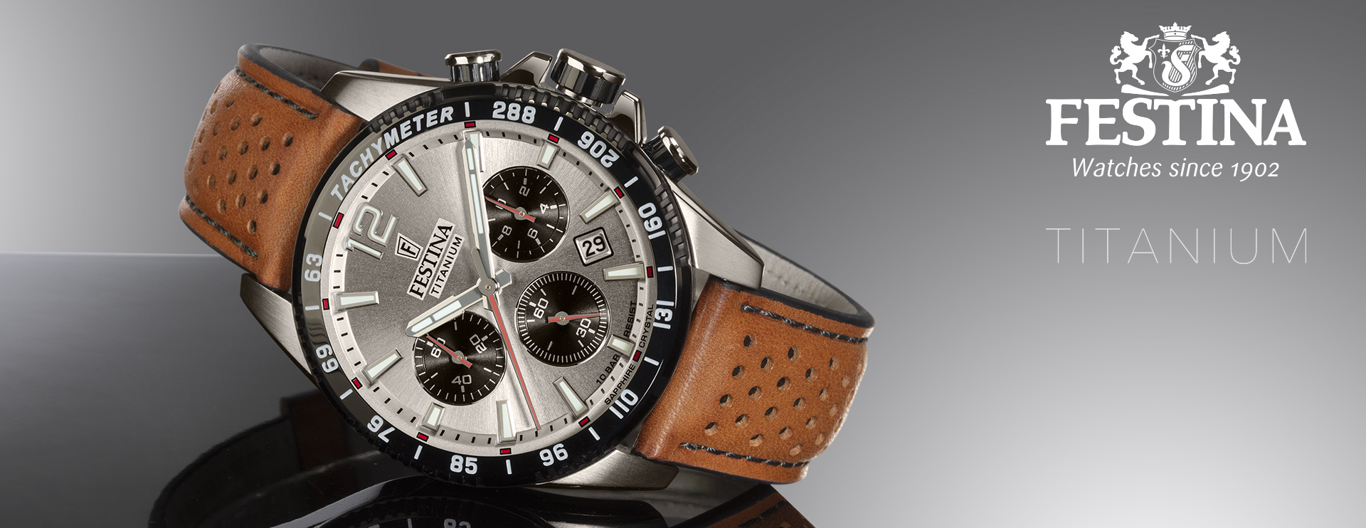 Festina Titanium Sport Festina Titanium Sport
