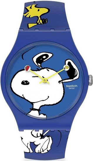 Hodinky SWATCH SO29Z106