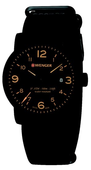 Hodinky WENGER 01.1041.135