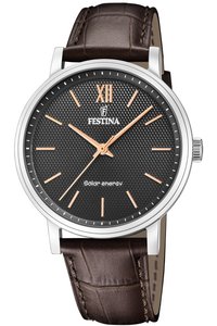 Picture: FESTINA 20660/6