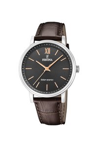 Picture: FESTINA 20660/6