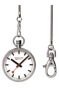 Picture: MONDAINE A660.30316.11SBB
