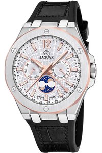 Picture: JAGUAR J1040/1