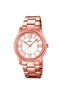 Picture: FESTINA 16725/1