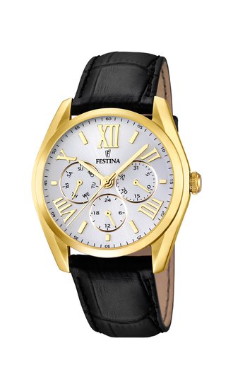 FESTINA 16753/1