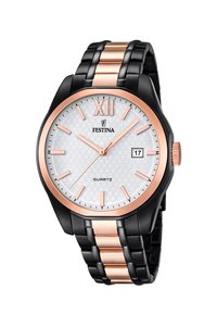 Picture: FESTINA 16853/1