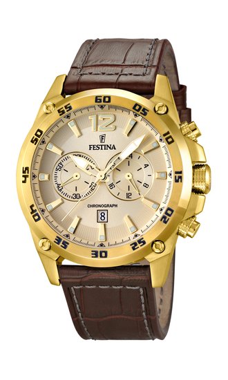 FESTINA 16880/1