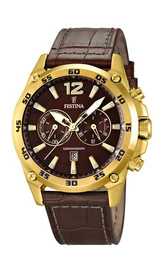 FESTINA 16880/2