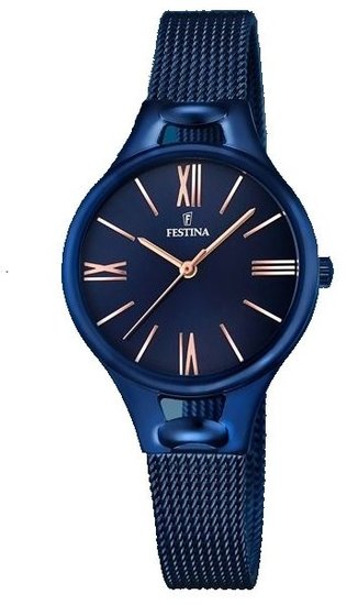 FESTINA 16953/2