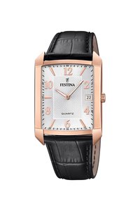 Picture: FESTINA 20465/1