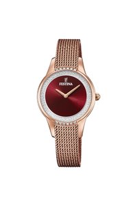 Picture: FESTINA 20496/1