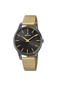 Picture: FESTINA 20508/1